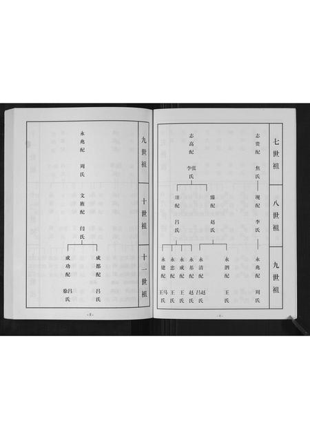 山东刘氏-杜家刘氏族谱[不分卷].pdf电子版插图5