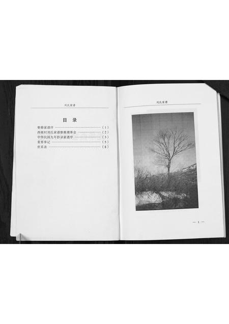 山西刘氏-光华西坡刘氏家谱.pdf电子版插图2