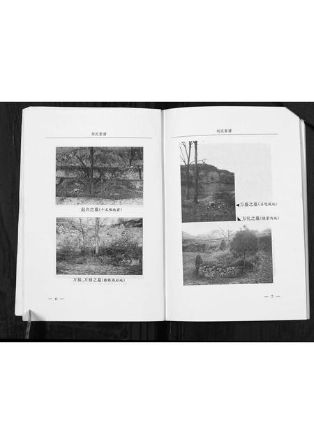 山西刘氏-光华西坡刘氏家谱.pdf电子版插图5