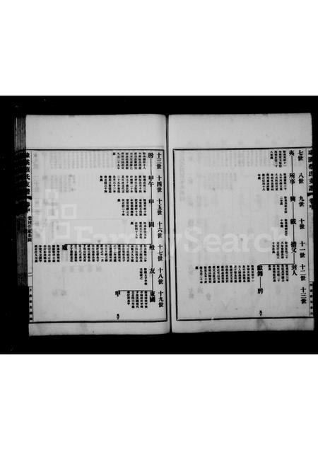 4009.埭溪蔡氏支谱 ： [3卷：首1卷].pdf电子版插图3