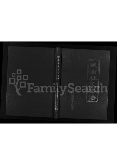 4103.岘西杜氏宗谱 [不分卷](别名：Xian Xi Du Shi Zong Pu、岘西杜氏城头房宗谱).pdf电子版插图