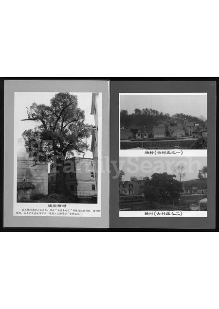 4103.岘西杜氏宗谱 [不分卷](别名：Xian Xi Du Shi Zong Pu、岘西杜氏城头房宗谱).pdf电子版插图5