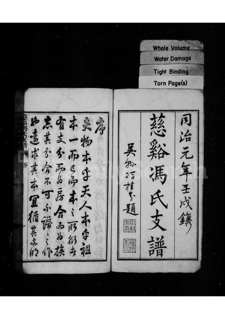 4121.慈谿冯氏支谱.pdf电子版插图1