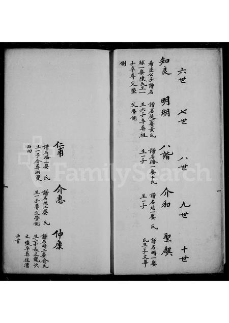 4161.顾氏宗谱.pdf电子版插图2