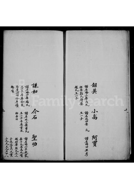 4161.顾氏宗谱.pdf电子版插图3