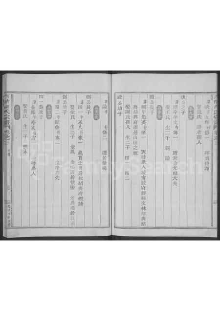 4201.西清胡氏宗谱 [3卷].pdf电子版插图2