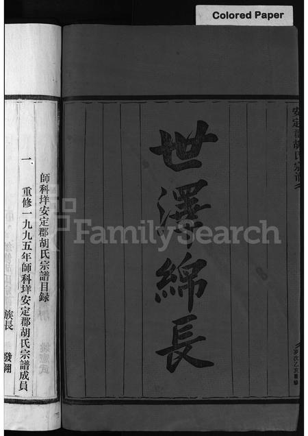 4221.安定郡胡氏宗谱 [不分卷](别名：师科垟安定郡胡氏宗谱、胡氏宗谱、An Ding Jun Hu Shi Zong Pu).pdf电子版插图3