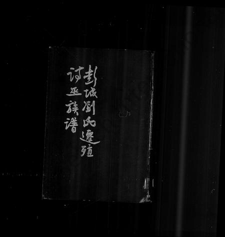 海外刘氏-彭城刘氏迁诗巫族谱 [15卷].pdf电子版插图