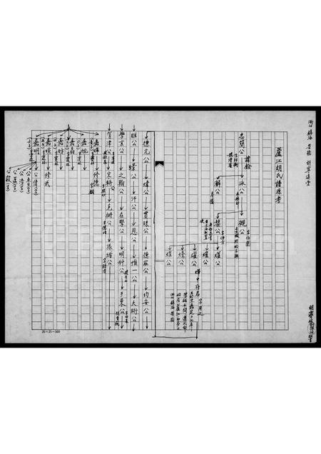 4225.芦江胡氏谱源考略述.pdf电子版插图2