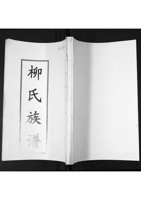 山东柳氏-柳氏族谱[不分卷].pdf电子版插图