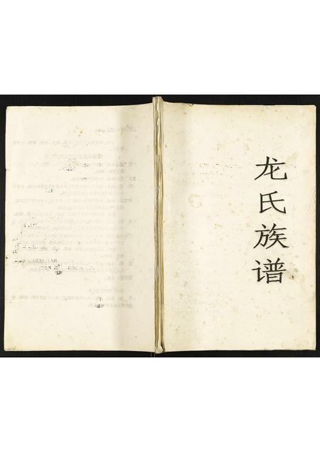 四川龙氏-龙氏族谱.pdf电子版