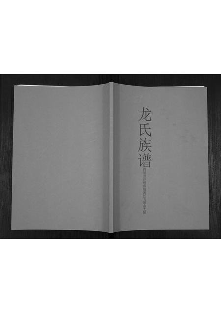 四川龙氏-龙氏族谱.pdf电子版