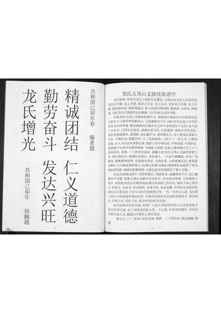 四川龙氏-龙氏族谱.pdf电子版插图4