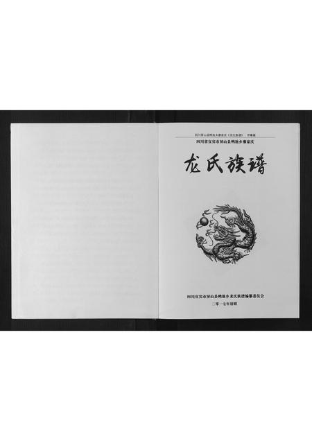 四川龙氏-龙氏族谱[不分卷].pdf电子版插图3