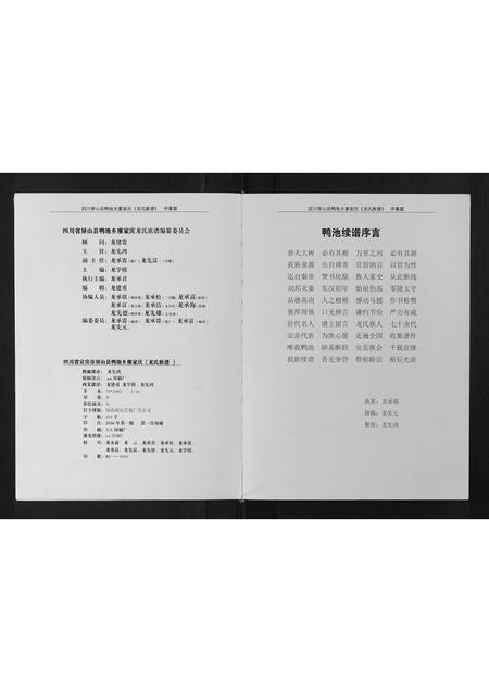 四川龙氏-龙氏族谱[不分卷].pdf电子版插图4