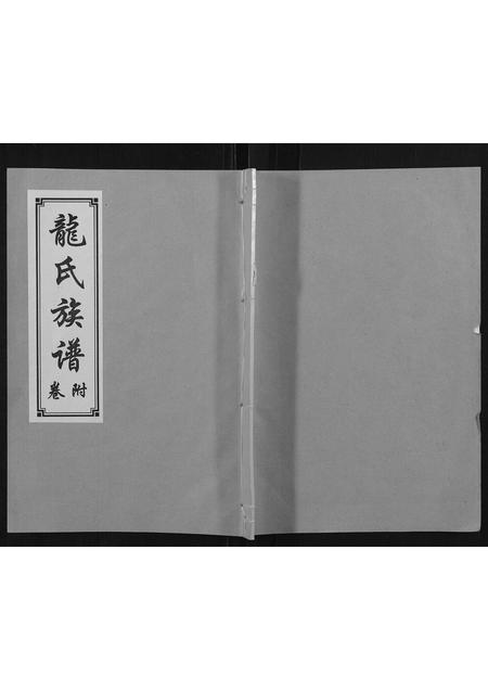 山东龙氏-龙氏族谱[5卷].pdf电子版插图