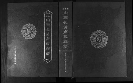 山东卢氏-山东长清卢氏族谱.pdf电子版插图