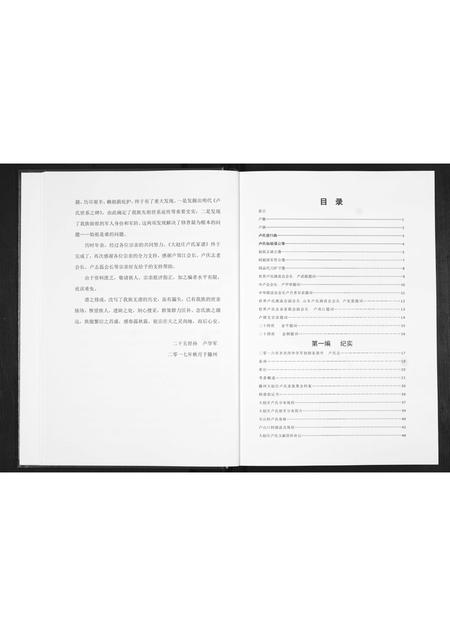 山东卢氏-滕州大赵庄卢氏家谱.pdf电子版插图4