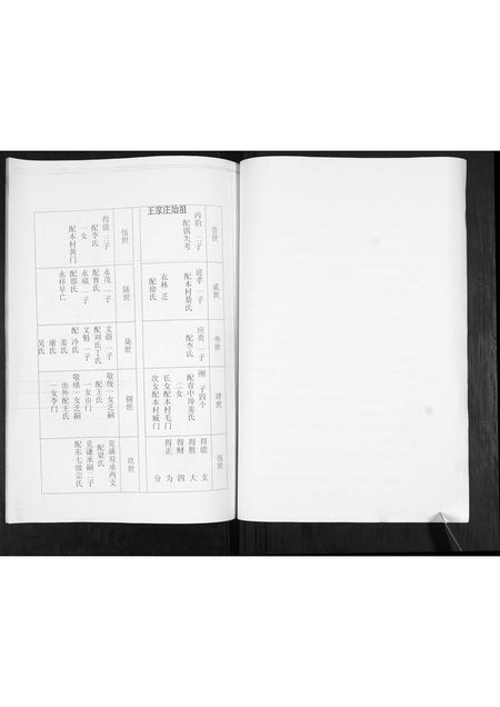 山东卢氏-卢氏宗谱.pdf电子版插图2