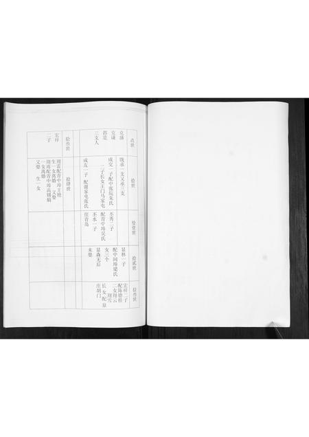 山东卢氏-卢氏宗谱.pdf电子版插图3
