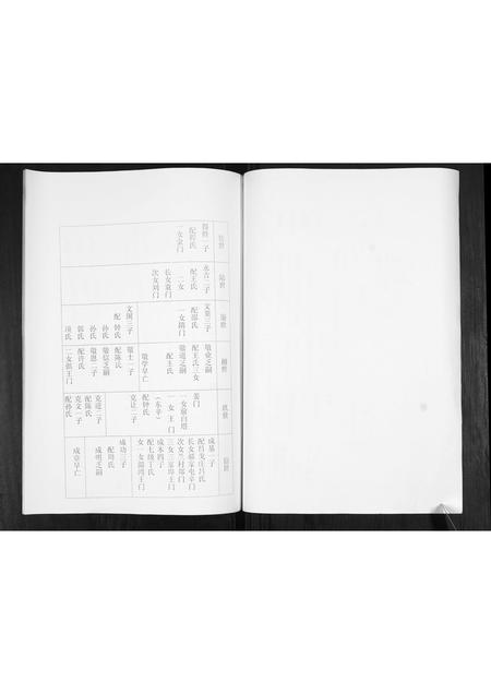 山东卢氏-卢氏宗谱.pdf电子版插图4