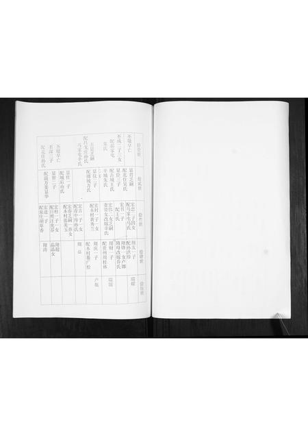 山东卢氏-卢氏宗谱.pdf电子版插图5