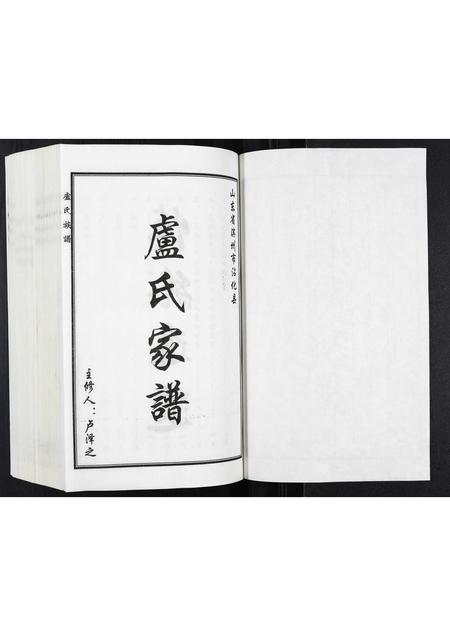 山东卢氏-卢氏家谱.pdf电子版插图1