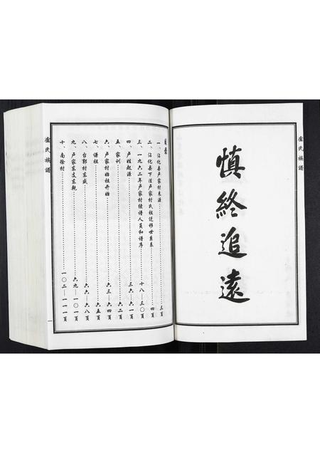 山东卢氏-卢氏家谱.pdf电子版插图2