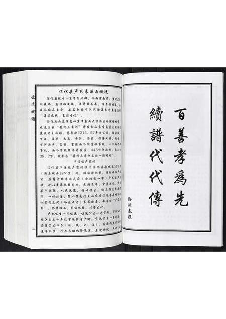 山东卢氏-卢氏家谱.pdf电子版插图4