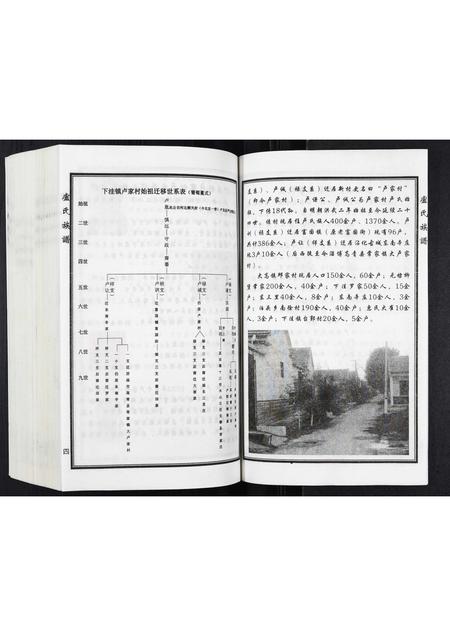 山东卢氏-卢氏家谱.pdf电子版插图5