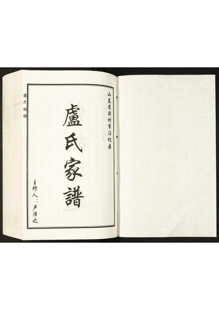 山东卢氏-卢氏家谱.pdf电子版插图1