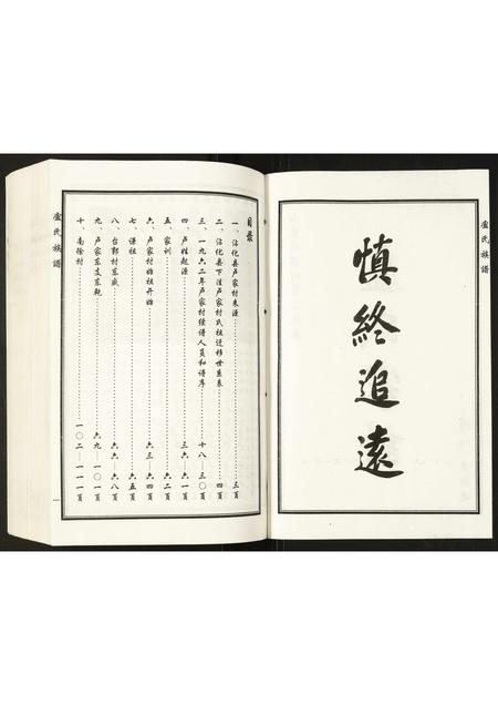 山东卢氏-卢氏家谱.pdf电子版插图2