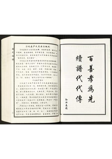 山东卢氏-卢氏家谱.pdf电子版插图4