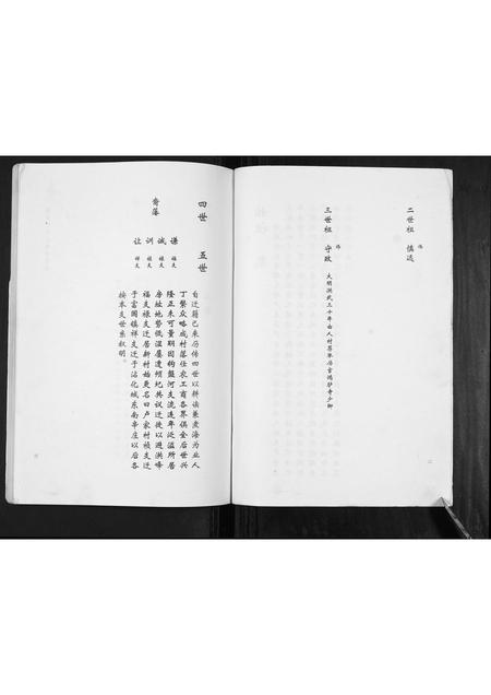 山东卢氏-卢氏家谱常家庄支谱[不分卷].pdf电子版插图2