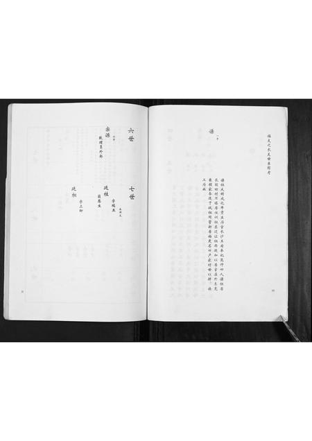 山东卢氏-卢氏家谱常家庄支谱[不分卷].pdf电子版插图3