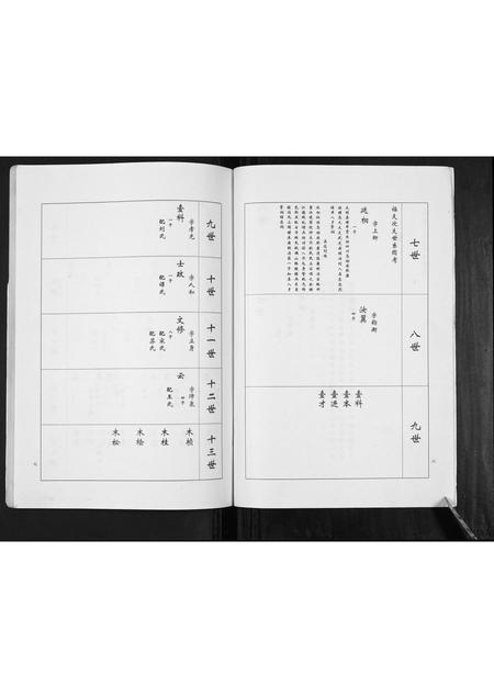 山东卢氏-卢氏家谱常家庄支谱[不分卷].pdf电子版插图4