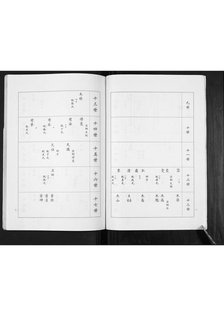 山东卢氏-卢氏家谱常家庄支谱[不分卷].pdf电子版插图5