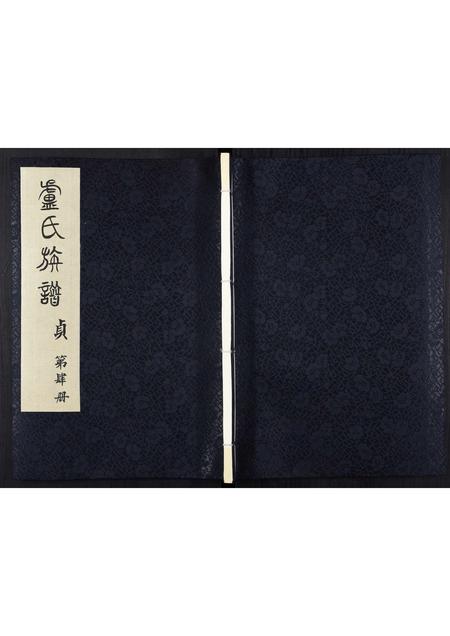 山东卢氏-卢氏族谱.pdf电子版插图