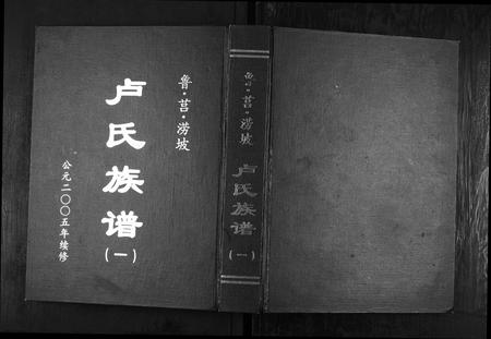 山东卢氏-卢氏族谱[4卷].pdf电子版插图
