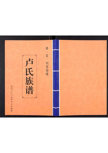 山东卢氏-卢氏族谱[不分卷].pdf电子版插图