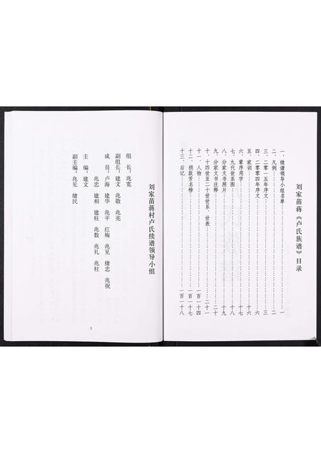 山东卢氏-卢氏族谱[不分卷].pdf电子版插图2