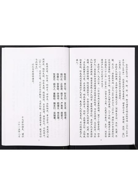 山东卢氏-卢氏族谱[不分卷].pdf电子版插图4