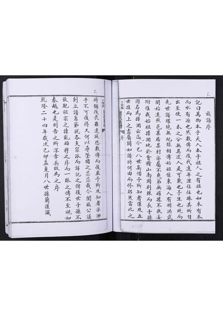 山东卢氏-卢氏族谱[不分卷].pdf电子版插图1