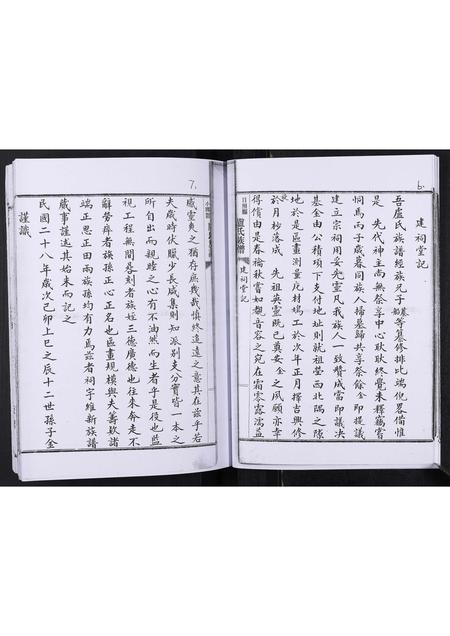 山东卢氏-卢氏族谱[不分卷].pdf电子版插图4