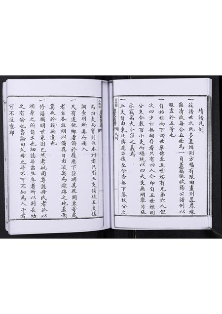 山东卢氏-卢氏族谱[不分卷].pdf电子版插图5