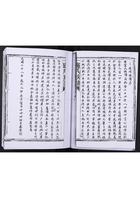 山东卢氏-卢氏族谱[不分卷].pdf电子版插图2