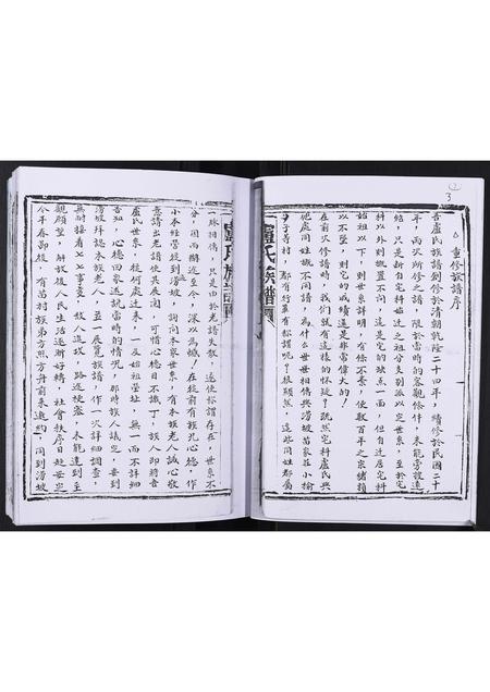 山东卢氏-卢氏族谱[不分卷].pdf电子版插图3