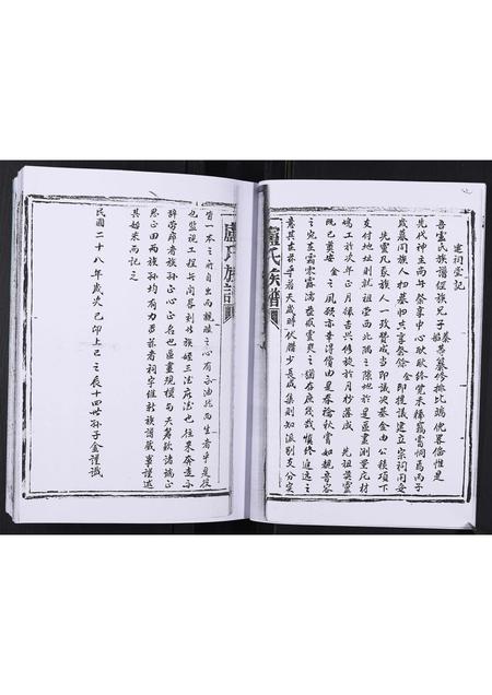 山东卢氏-卢氏族谱[不分卷].pdf电子版插图5