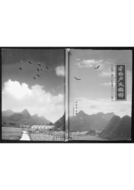 广西卢氏-才西卢氏族谱.pdf电子版