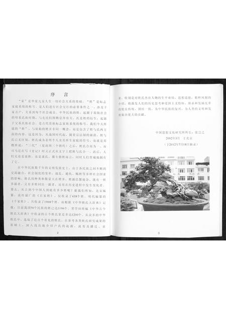 广西卢氏-才西卢氏族谱.pdf电子版插图2